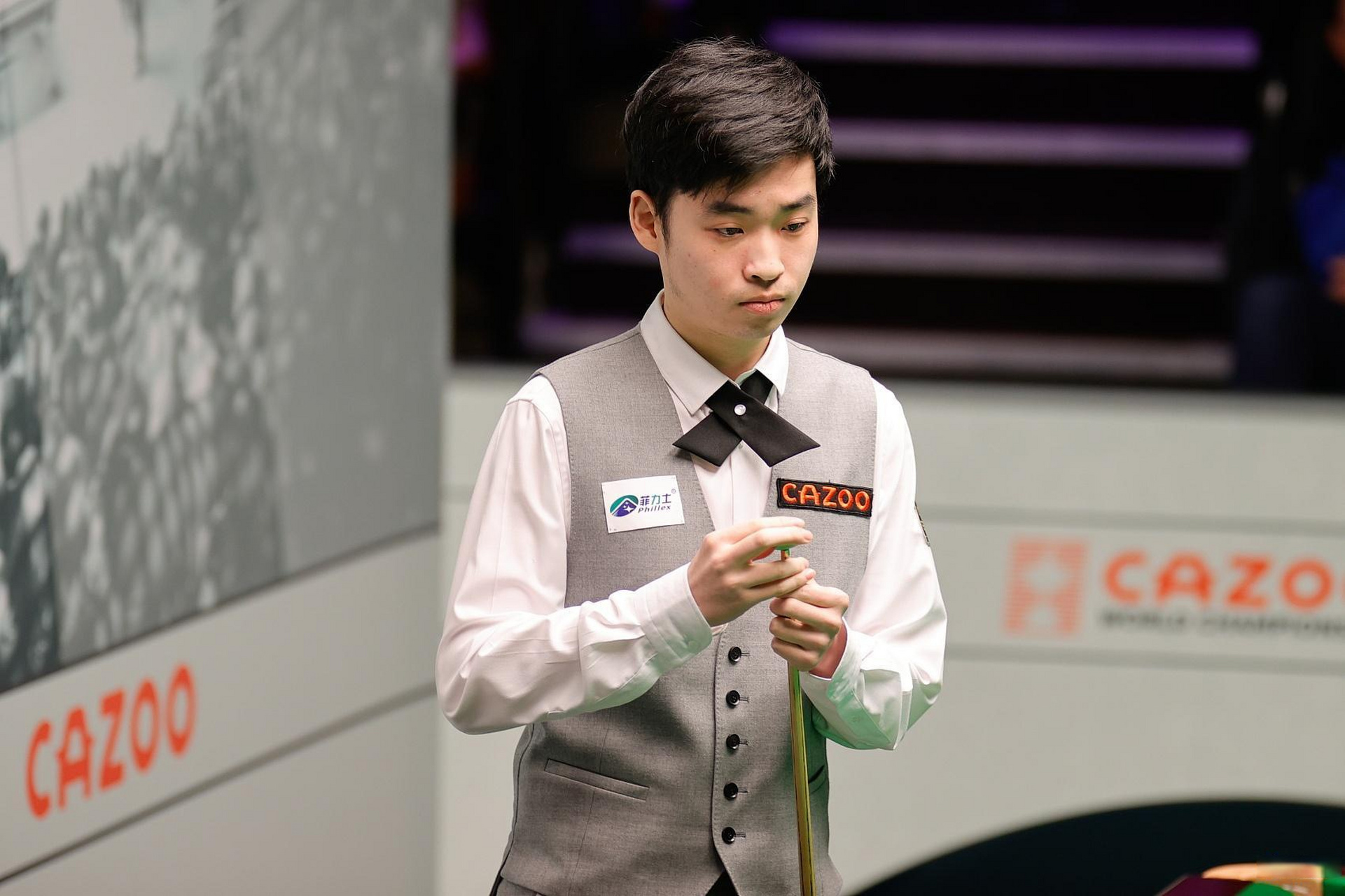 彰显了他们 彰显了他们