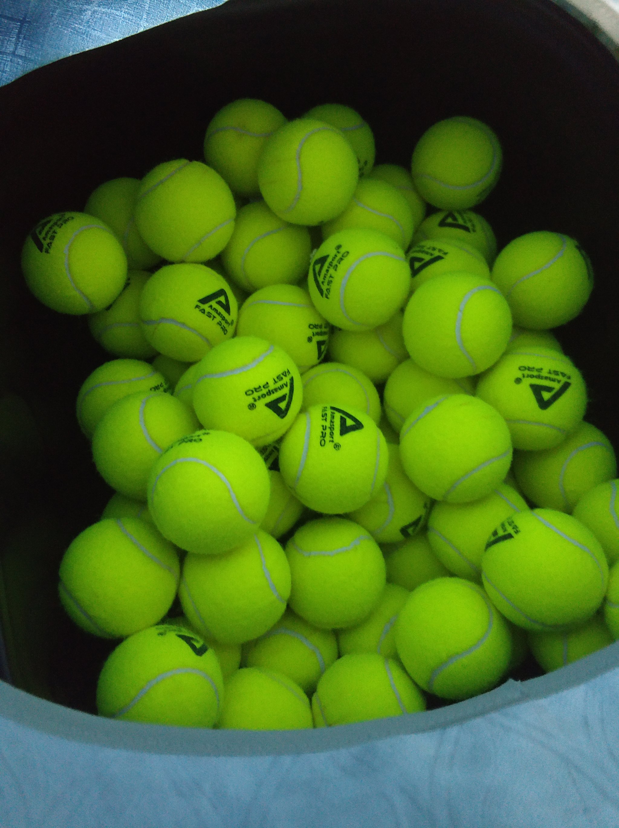 公平法案而 公平法案而